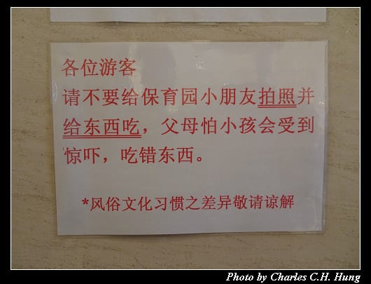 光伸真珠_014.jpg