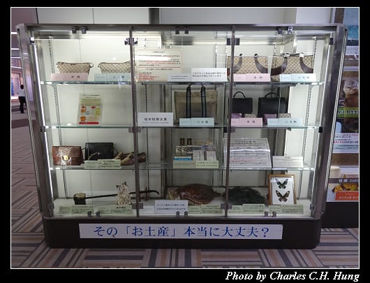 成田機場_039.jpg
