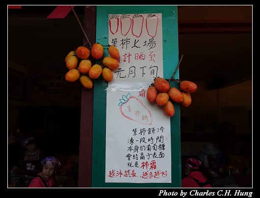 味衛佳_030.jpg