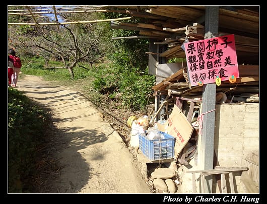 味衛佳_020.jpg
