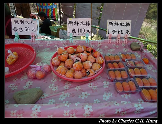 味衛佳_007.jpg