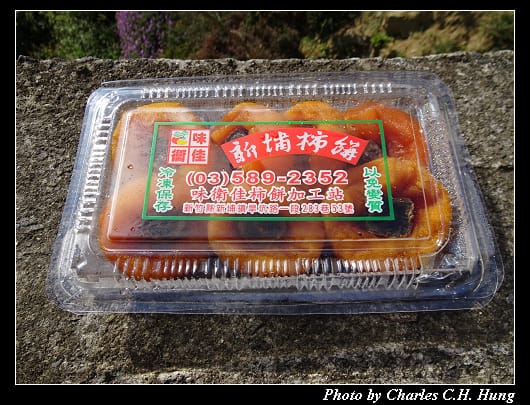 味衛佳_042.jpg