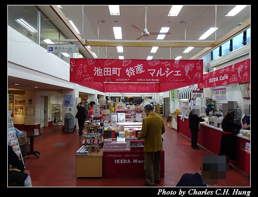 池田葡萄_008.jpg