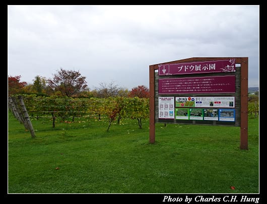 池田葡萄_071.jpg