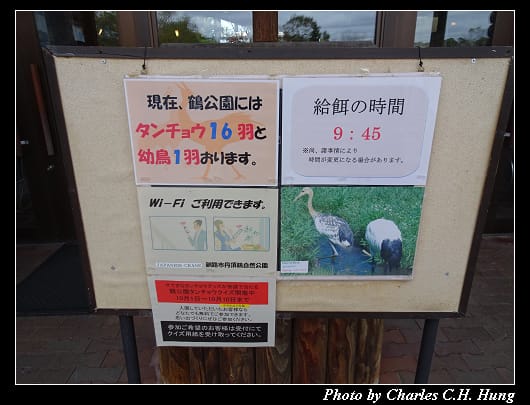 丹頂鶴_010.jpg 丹頂鶴_010.jpg