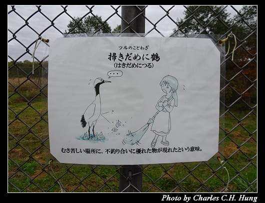 丹頂鶴_048.jpg 丹頂鶴_048.jpg