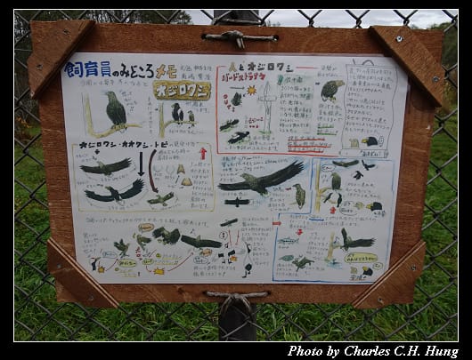 丹頂鶴_053.jpg 丹頂鶴_053.jpg