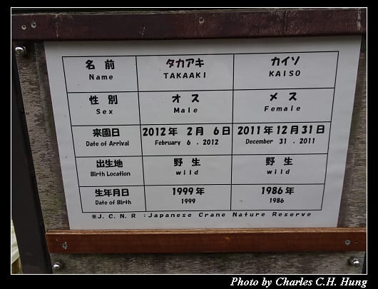 丹頂鶴_031.jpg 丹頂鶴_031.jpg