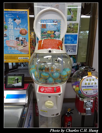 丹頂鶴_071.jpg 丹頂鶴_071.jpg