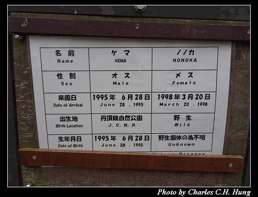 丹頂鶴_026.jpg 丹頂鶴_026.jpg