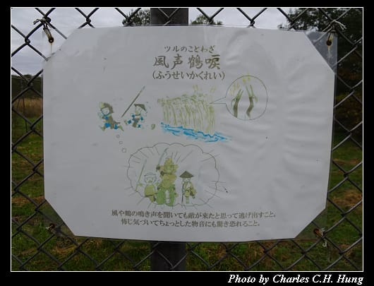 丹頂鶴_047.jpg 丹頂鶴_047.jpg