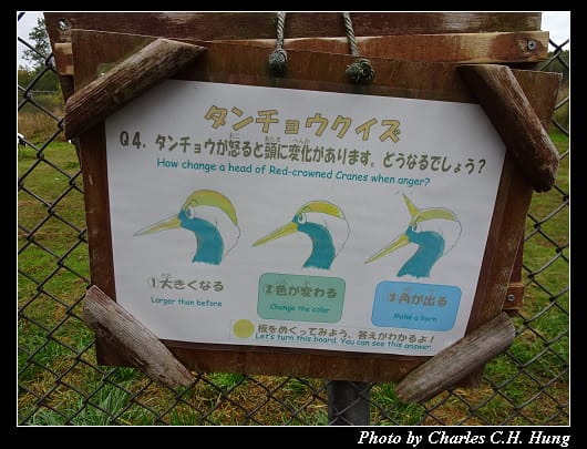 丹頂鶴_039.jpg 丹頂鶴_039.jpg