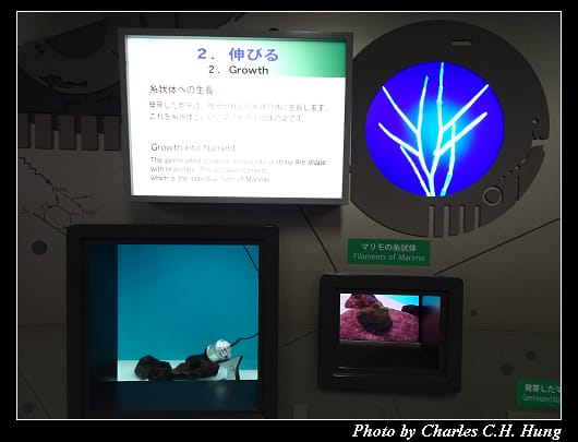 阿寒湖_082.jpg