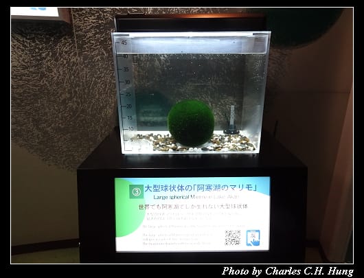 阿寒湖_078.jpg
