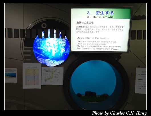 阿寒湖_084.jpg