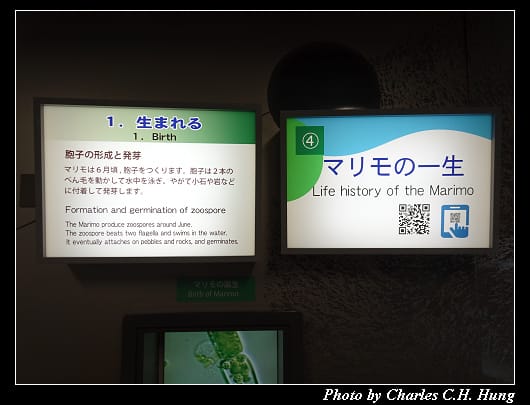 阿寒湖_081.jpg