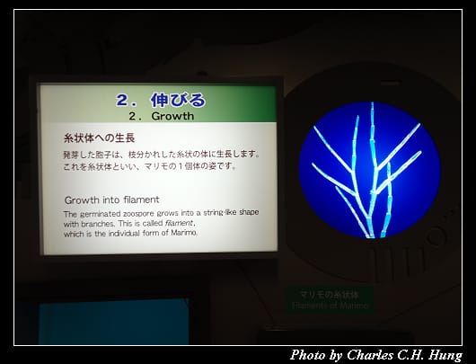 阿寒湖_083.jpg