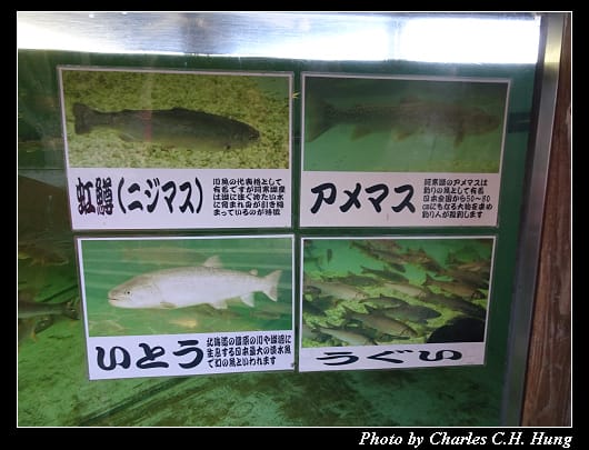 阿寒湖_093.jpg