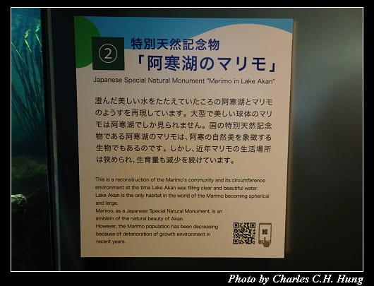 阿寒湖_075.jpg