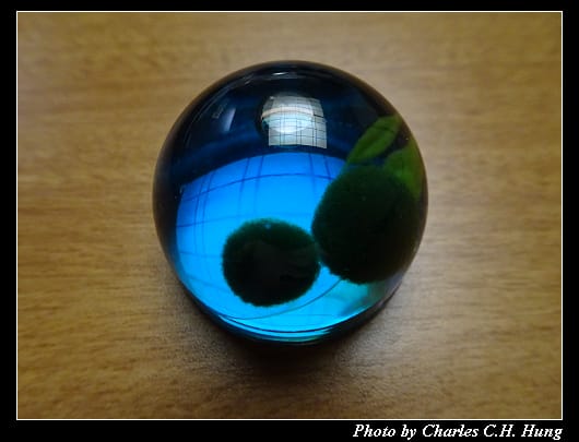 戰利品_011.jpg 戰利品_011.jpg