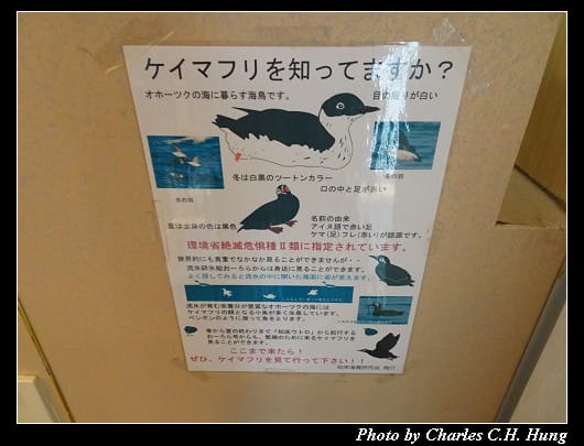 極光號_017.jpg