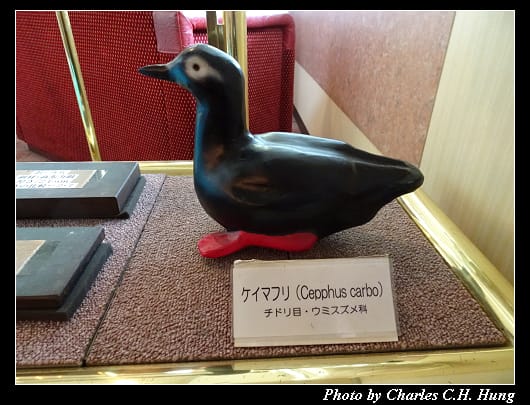 極光號_016.jpg