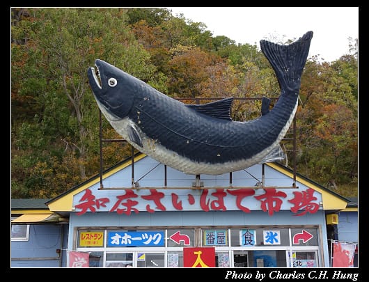 市場食堂_003.jpg