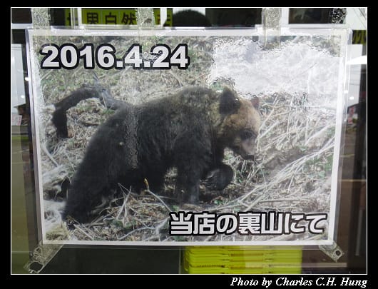 市場食堂_043.jpg