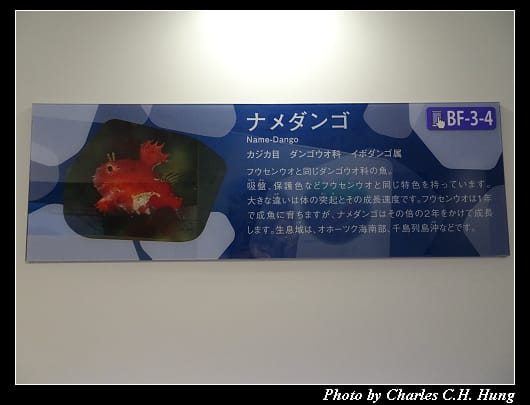 天都山_051.jpg