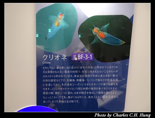 天都山_037.jpg