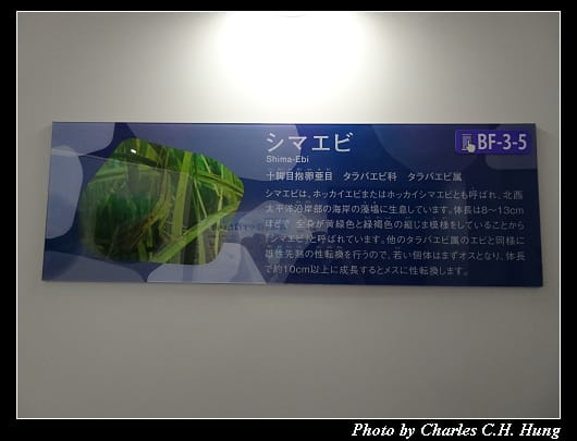 天都山_054.jpg