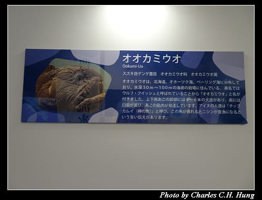 天都山_048.jpg