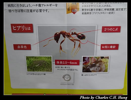 溫泉_010.jpg