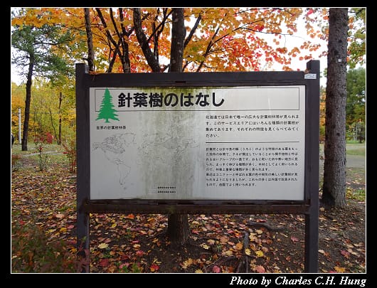 岩見沢_019.jpg 岩見沢_019.jpg