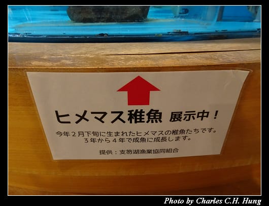 支笏湖_018.jpg