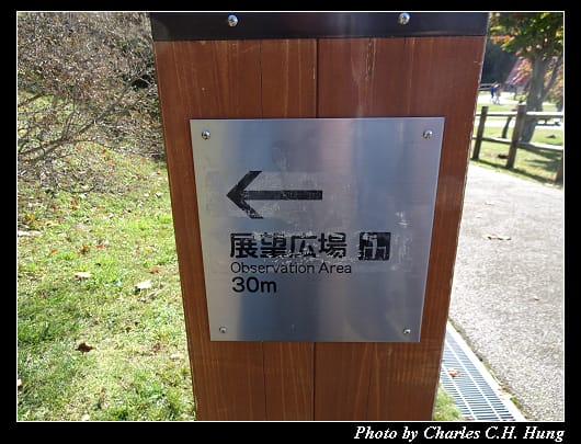 支笏湖_057.jpg