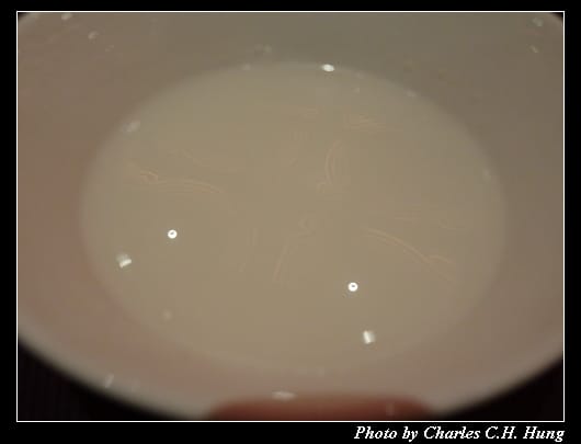 府城風味_047.jpg