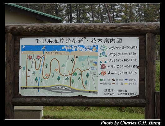 千里濱_003.jpg