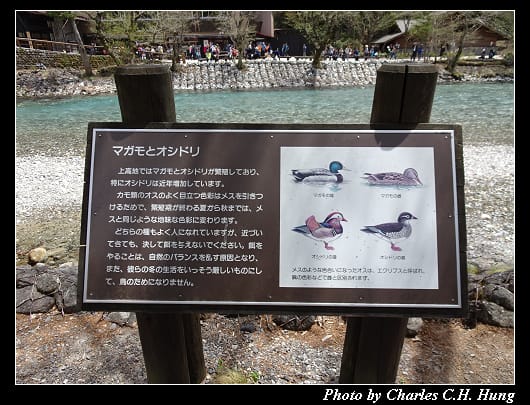 上高地_052.jpg 上高地_052.jpg