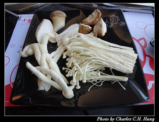 小蒙牛_038.jpg