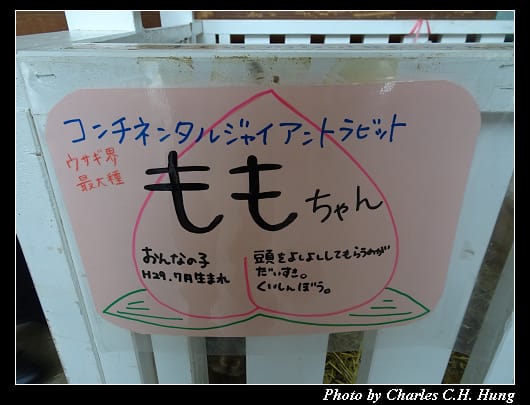 牧歌之里_053.jpg