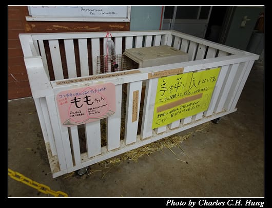 牧歌之里_052.jpg