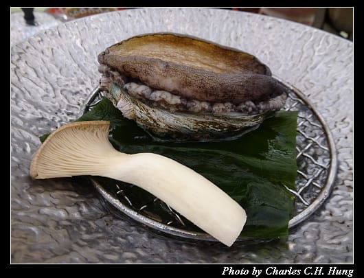桃山狩野_028.jpg