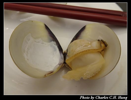 扁頭_020.jpg 扁頭_020.jpg