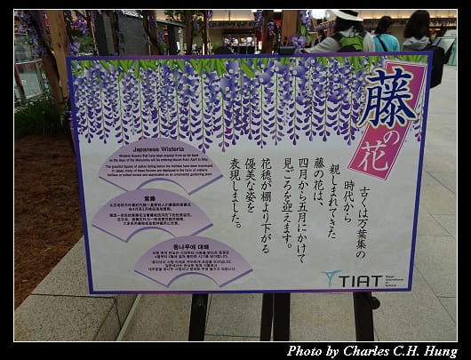 羽田_036.jpg