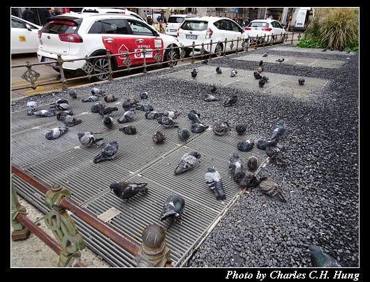 Milano_096.jpg