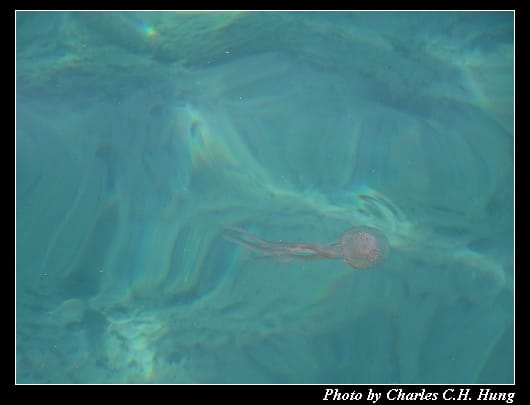 水翼船_052.jpg