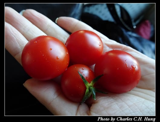 阿瑪菲_027.jpg 阿瑪菲_027.jpg