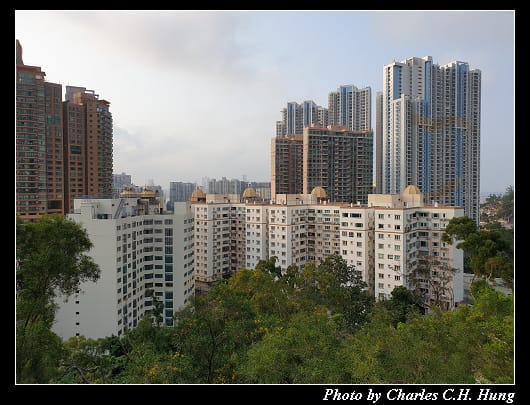 大潭山_014.jpg