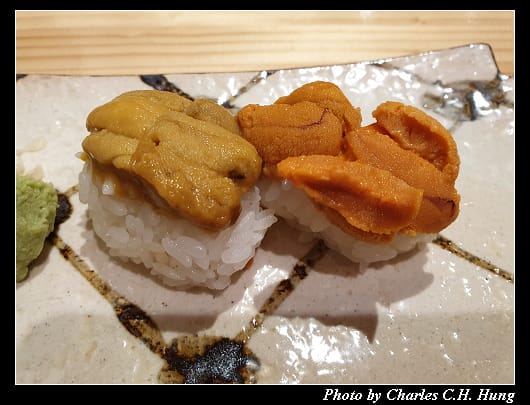 虎杖_026.jpg
